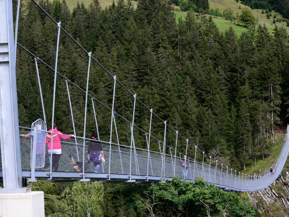 Sommerlich im Naturpark Lechtal